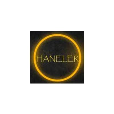 Haneler Yapı