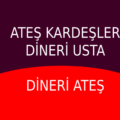 Dineri Oto Motor Ustası