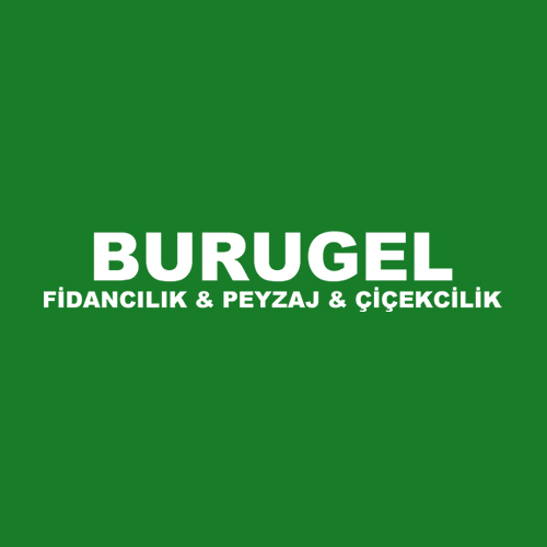 Burugel Fidancılık - Peyzaj - Çiçekçilik