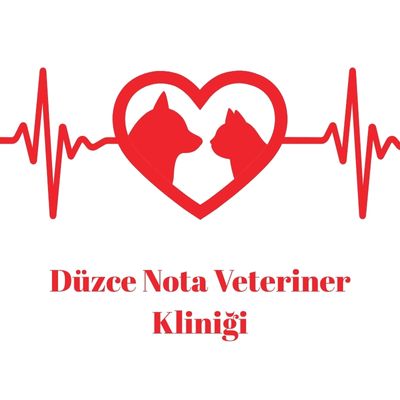 Hendek Düzce Nota Veteriner Kliniği