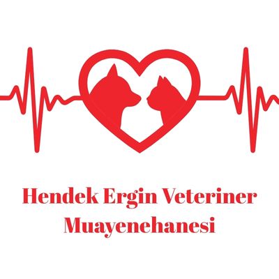 Hendek Ergin Veteriner Muayenehanesi